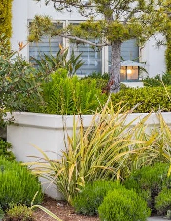 Professional landscape design and installation in Perth WA — native gardens, lawn grading and planting by Stone and Sage