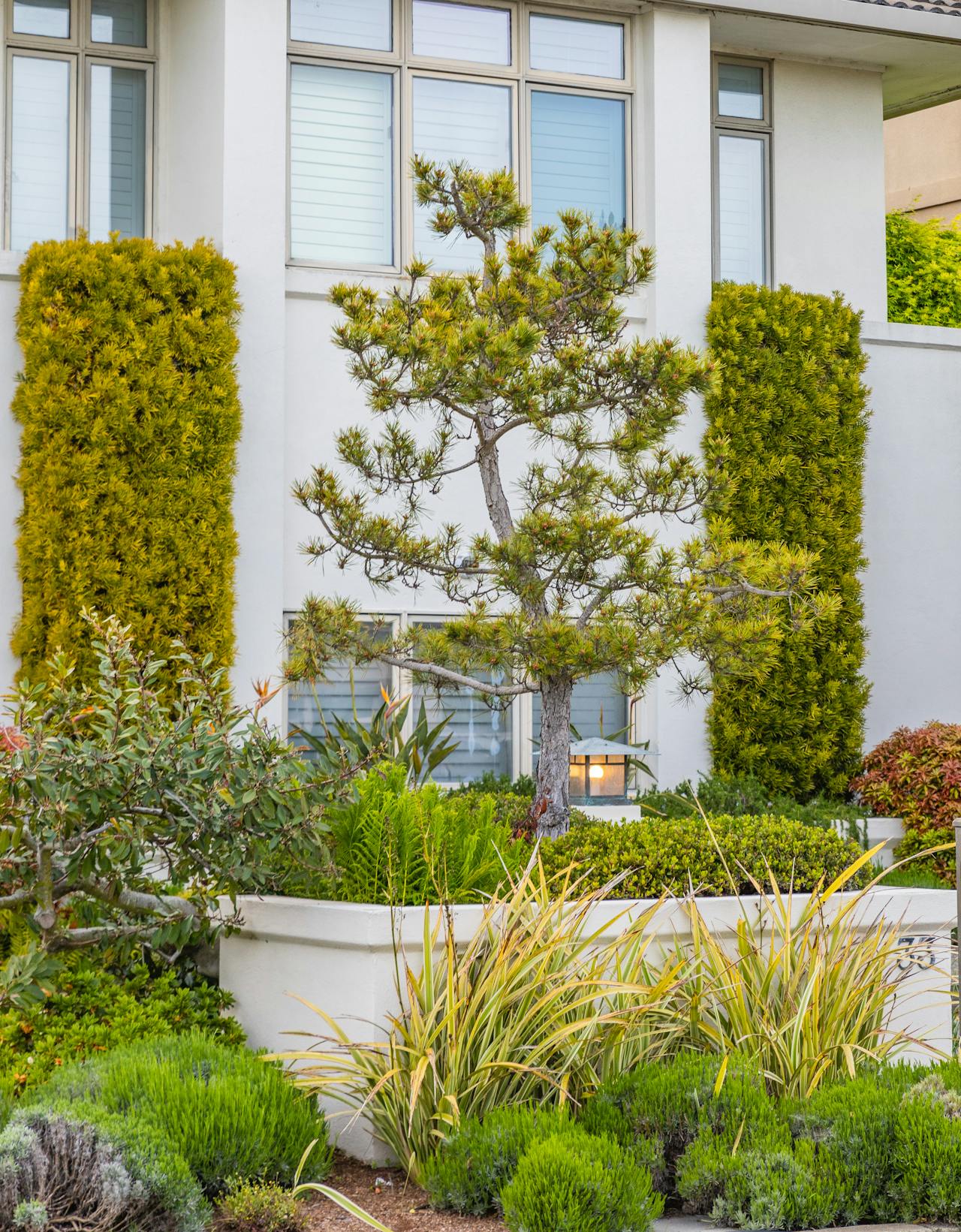 Professional landscape design and installation in Perth WA — native gardens, lawn grading and planting by Stone and Sage