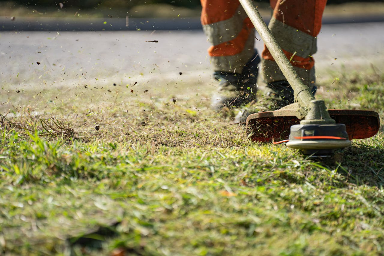 Ongoing garden maintenance services in Perth WA — lawn care, pruning, irrigation servicing and seasonal planting